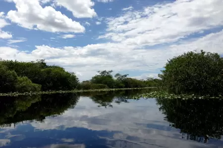 Parque Nacional Everglades em fevereiro