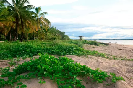 Guiana Francesa