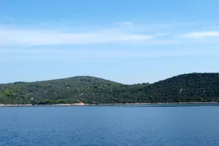 Iž