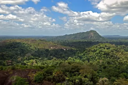 Tafelberg (distrito de Sipaliwini)