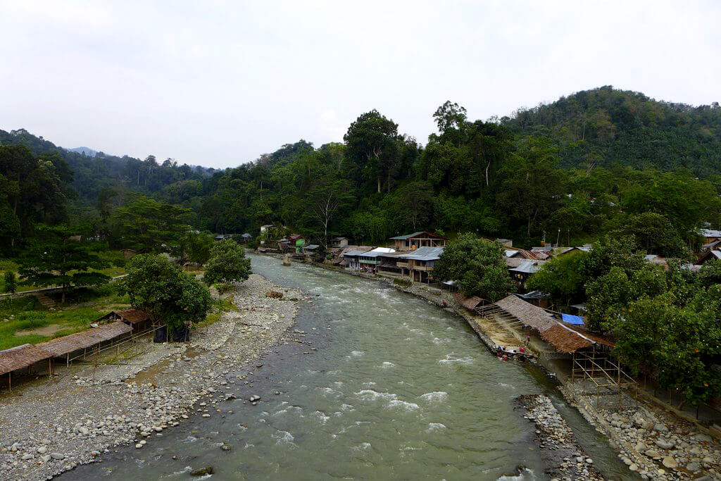Bukit Lawang :  Bukit Lawang :
