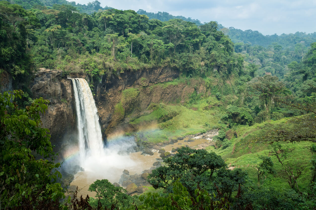 Camarões: Chutes d'Ekom dans la forêt tropicale (Melong) Camarões: Chutes d'Ekom dans la forêt tropicale (Melong)
