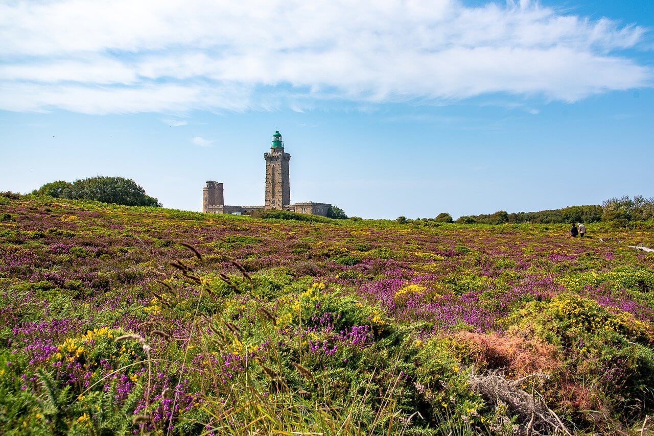 Cap Fréhel :  Cap Fréhel :