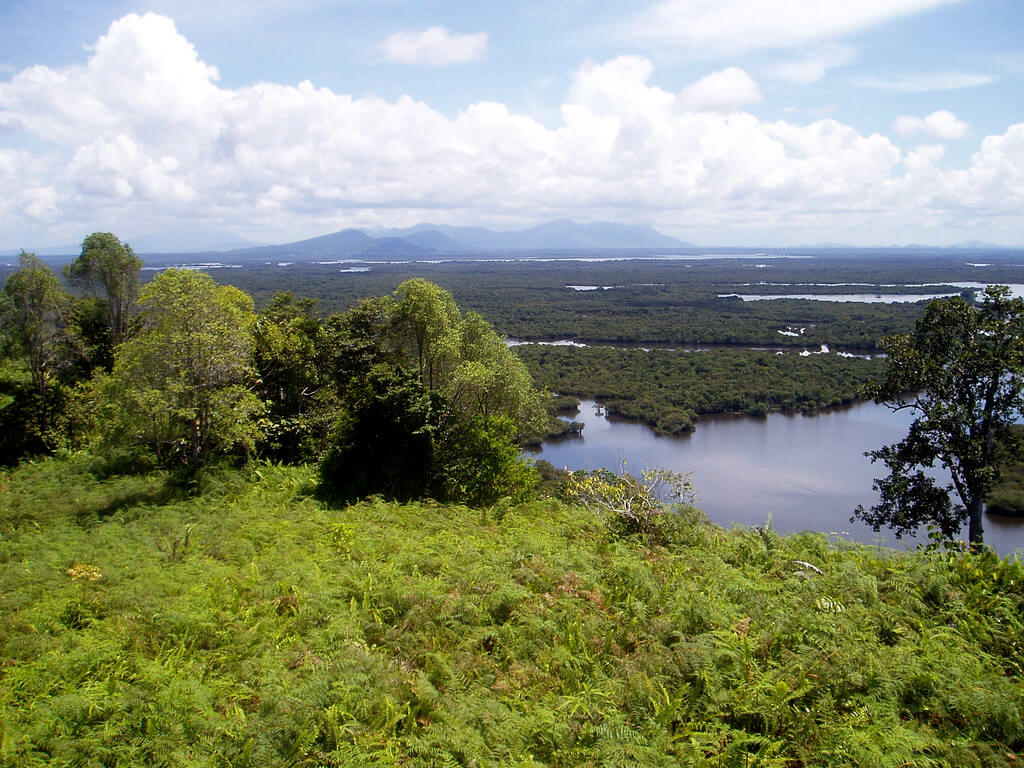 Parque Nacional Danau Sentarum :  Parque Nacional Danau Sentarum :