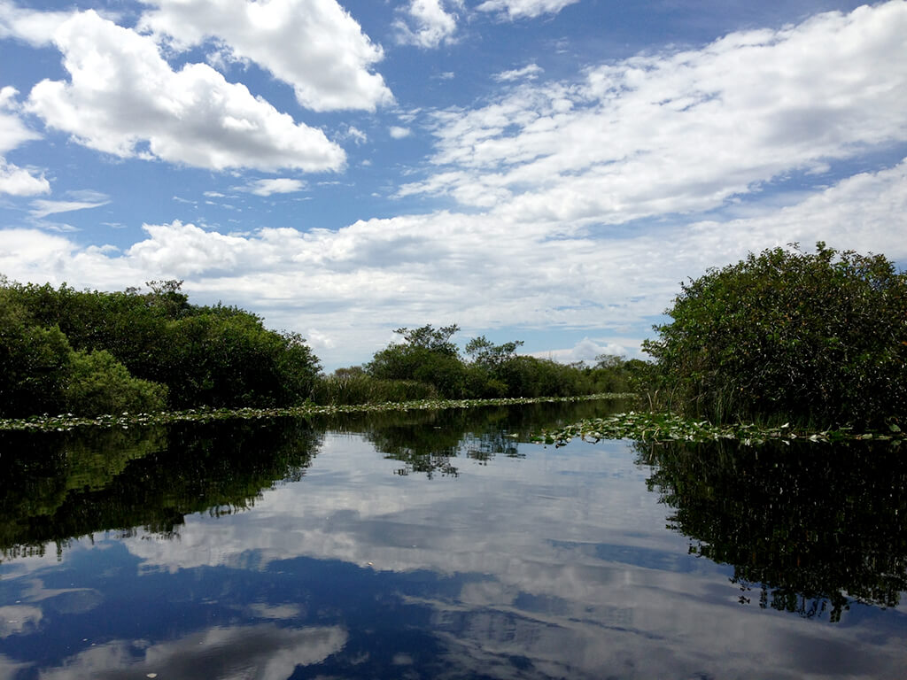 Parque Nacional Everglades :  Parque Nacional Everglades :