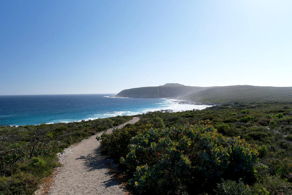 Parque nacional Río Fitzgerald : Parque nacional Río Fitzgerald :