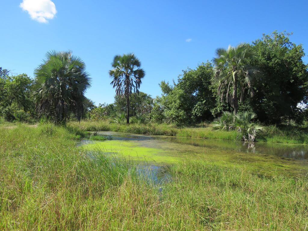 Parque Nacional da Gorongosa :  Parque Nacional da Gorongosa :