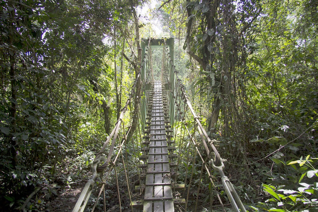 Parque Nacional Gunung Mulu :  Parque Nacional Gunung Mulu :