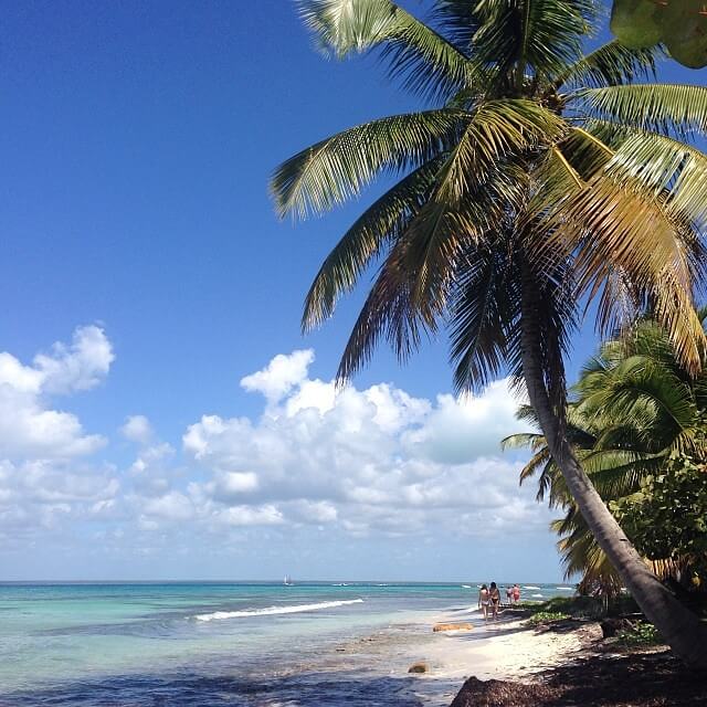 Ilha Saona :  Ilha Saona :