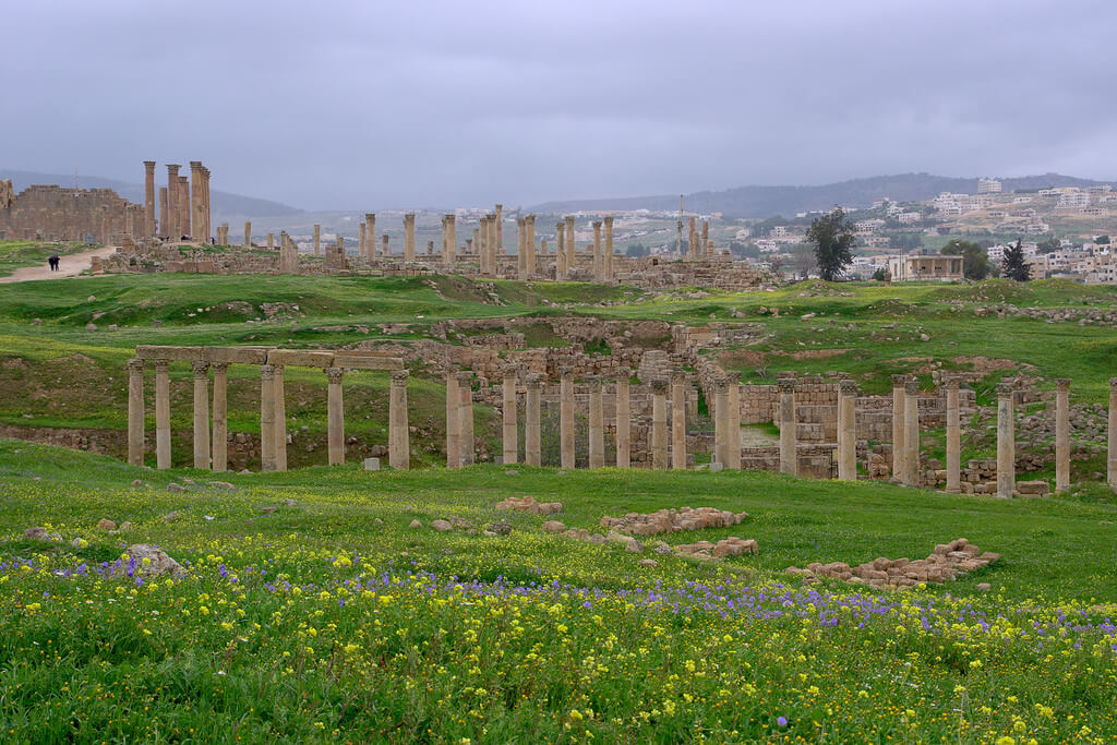 Irbid :  Irbid :