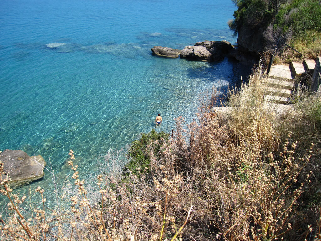 Kalamata :  Kalamata :