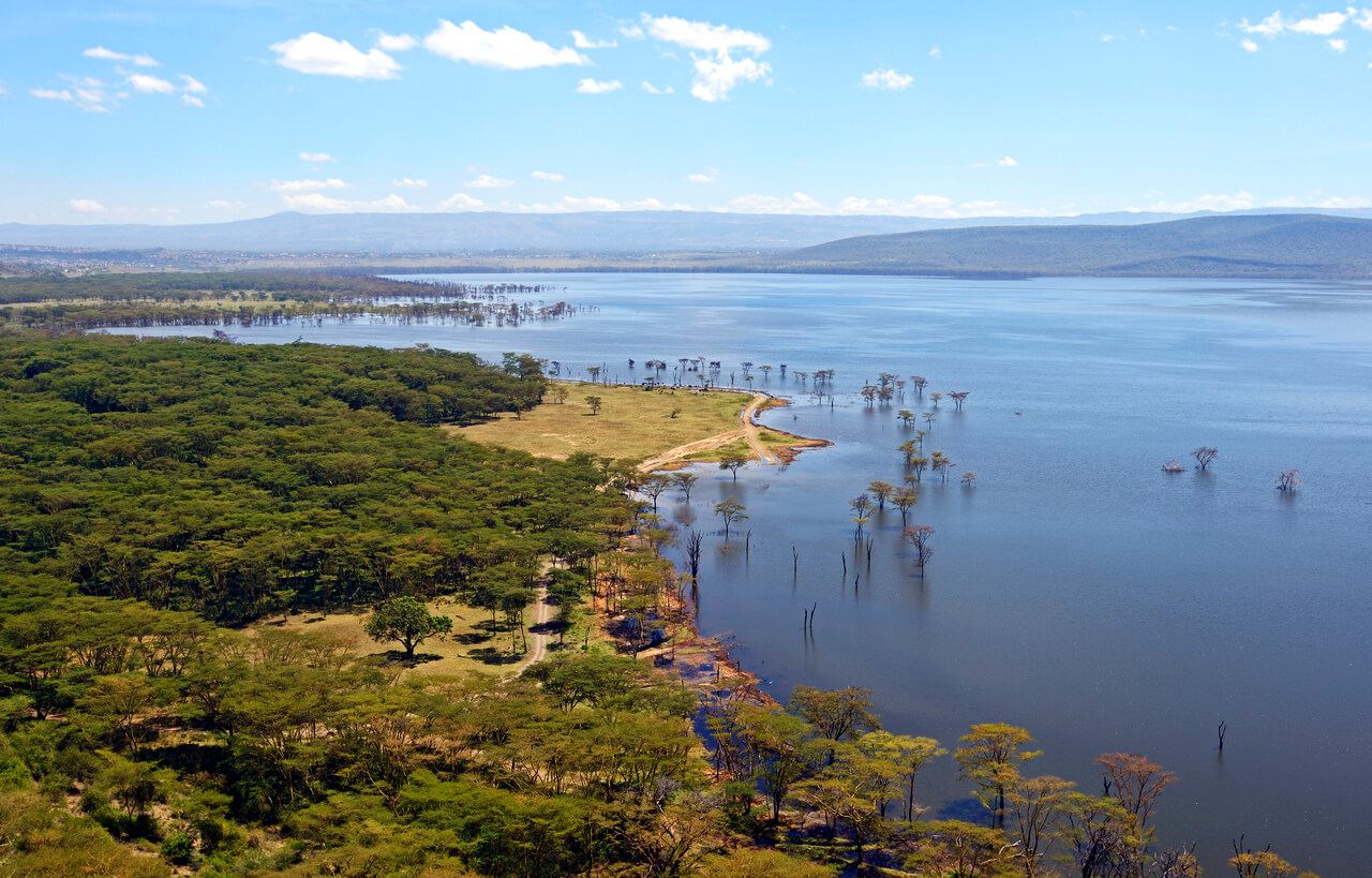 Quénia: Lac Nakuru au Kenya Quénia: Lac Nakuru au Kenya
