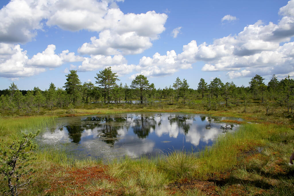 Parque Nacional de Lahemaa :  Parque Nacional de Lahemaa :