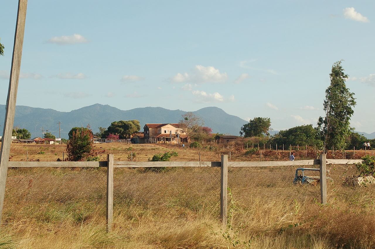 Lethem :  Lethem :