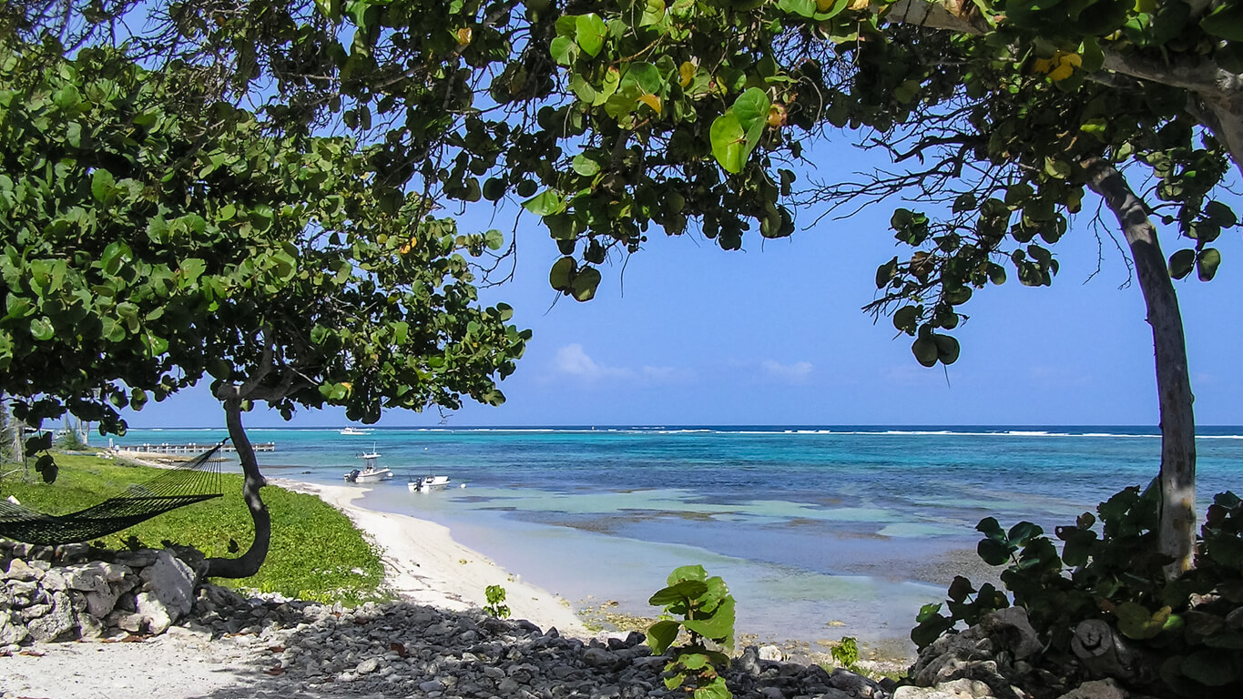 Little Cayman :  Little Cayman :