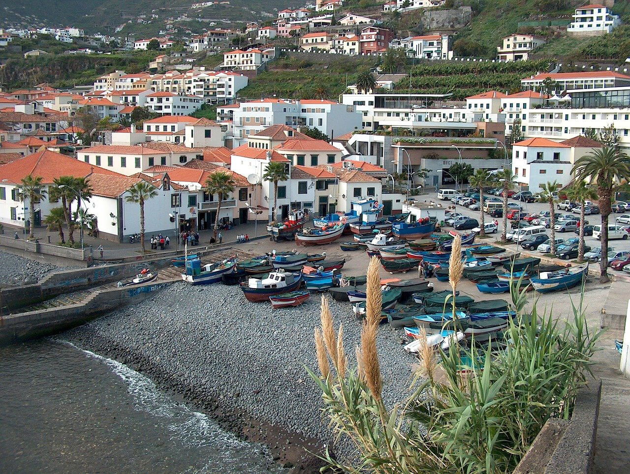 Câmara de Lobos : Camara de Lobos Câmara de Lobos : Camara de Lobos