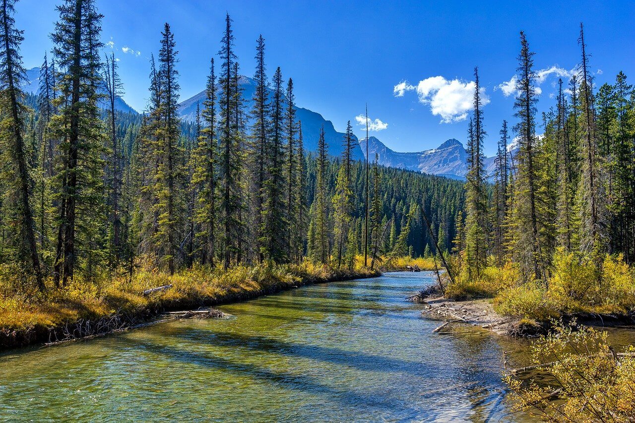 Parque Nacional Jasper : Le parc national de Jasper Parque Nacional Jasper : Le parc national de Jasper