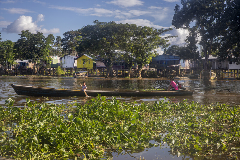 Letícia : Leticia Letícia : Leticia