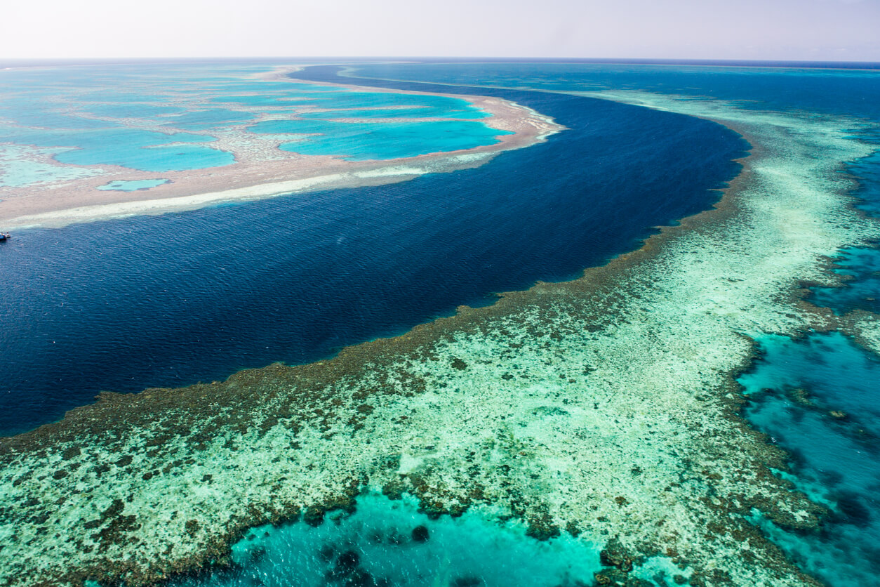 Grande Barreira de Coral : La grande barrière de corail Grande Barreira de Coral : La grande barrière de corail