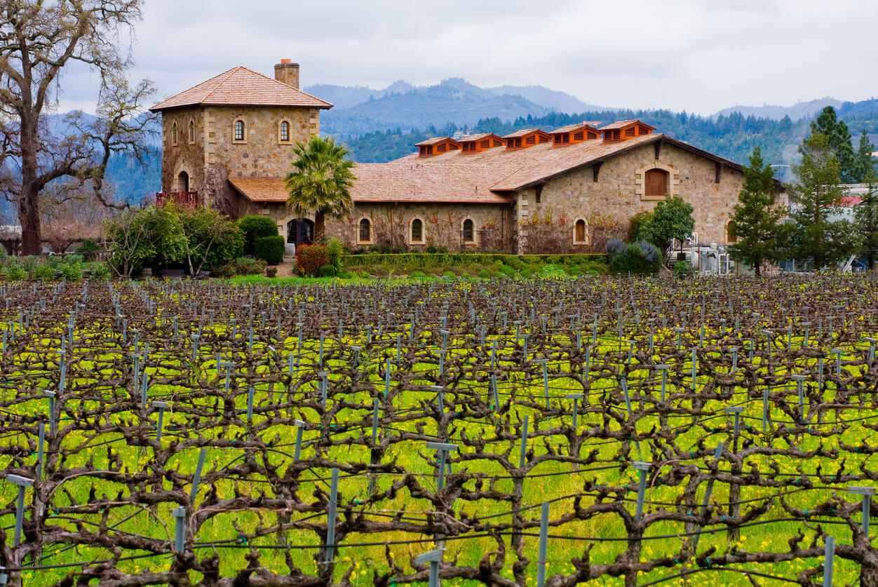 Napa Valley : Napa Valley Napa Valley : Napa Valley