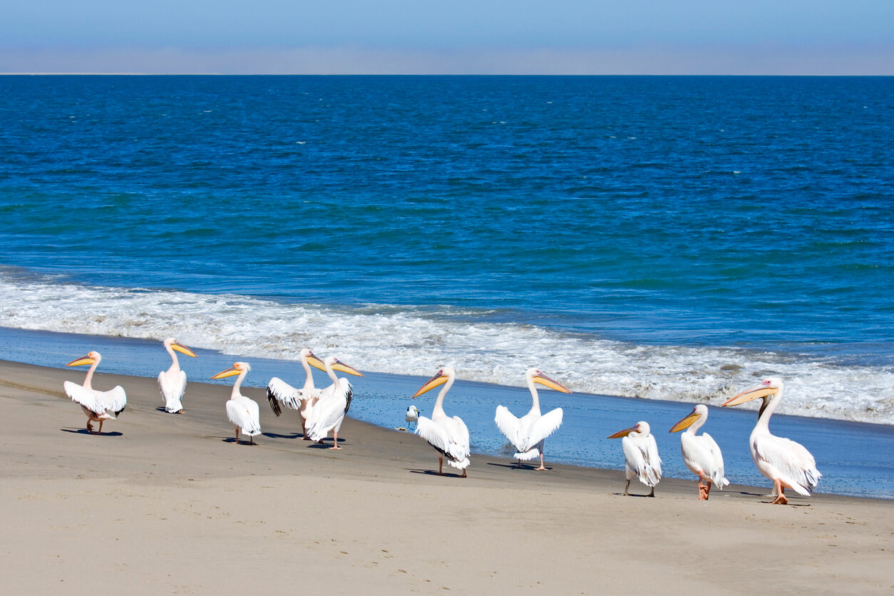 Walvis Bay : Walvis Bay Walvis Bay : Walvis Bay