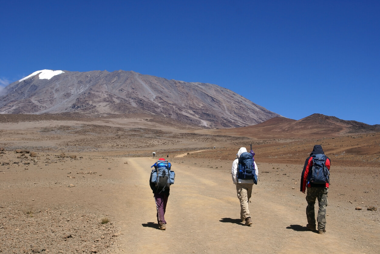 Kilimandjaro : Le Mont Kilimandjaro Kilimandjaro : Le Mont Kilimandjaro