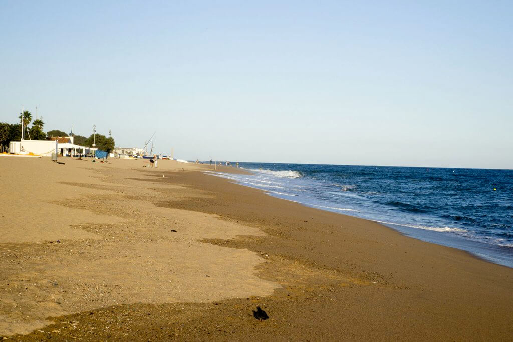 Pineda de Mar :  Pineda de Mar :