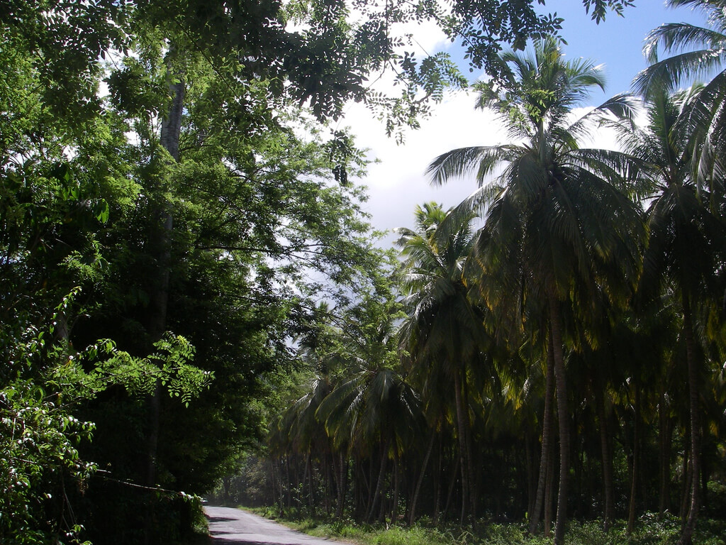 SaintJoseph (Dominica) Em Agosto 2023 Clima, Tempo E Temperatura Em