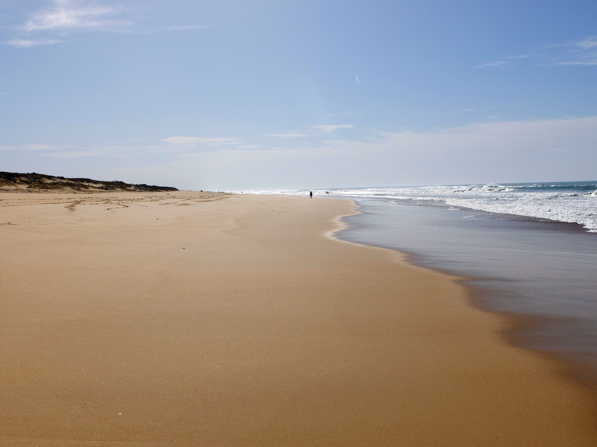 Saint-Julien-en-Born : 