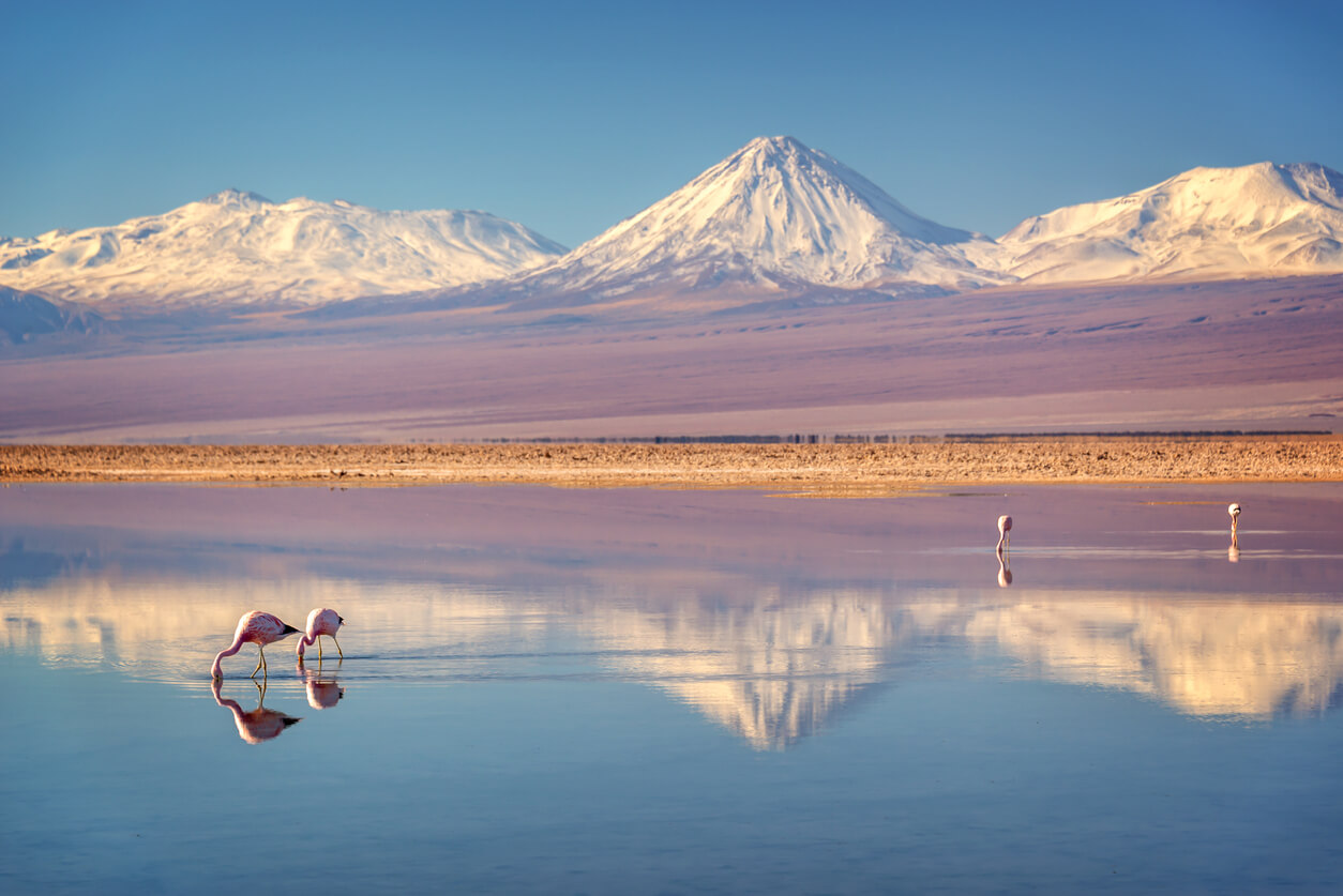San Pedro de Atacama : Salar de Atacama San Pedro de Atacama : Salar de Atacama