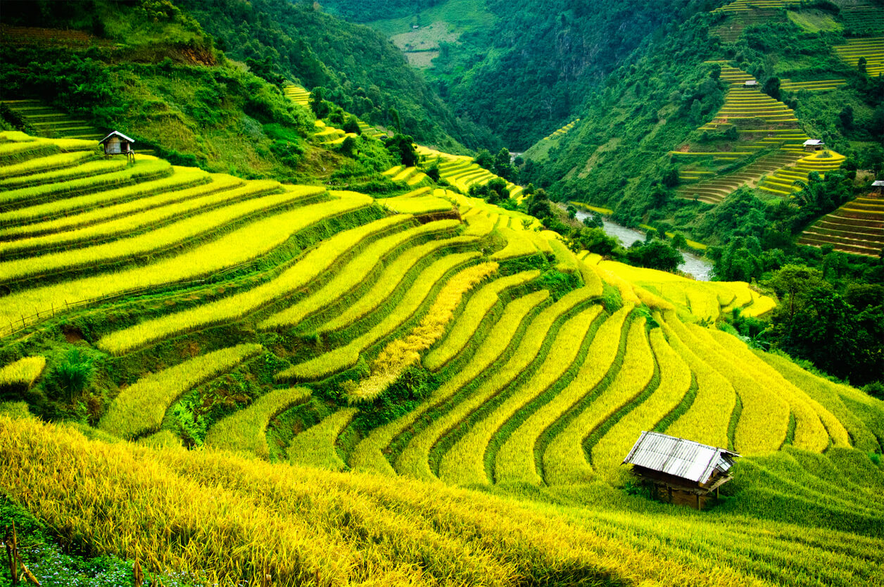 Quando Ir a Sapa? a Melhor época - Tempo e Clima. 3 Meses a Evitar! -  Vietname - Onde e Quando