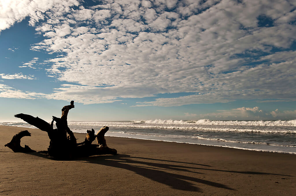 Sigatoka : Sigatoka :