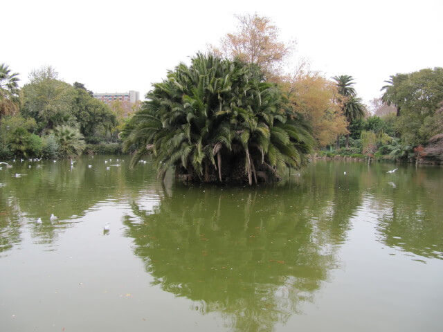 Sukang :  Sukang :