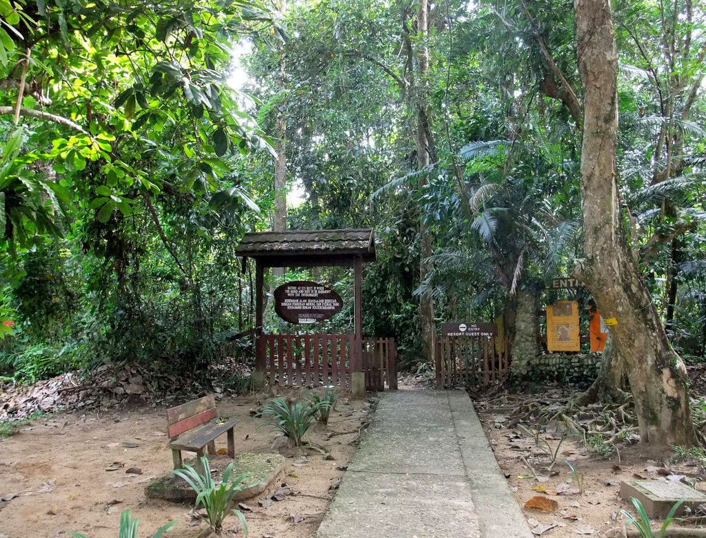 Parque Nacional Taman Negara :  Parque Nacional Taman Negara :