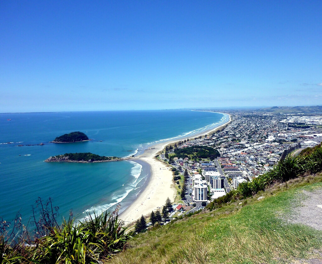 Tauranga :  Tauranga :