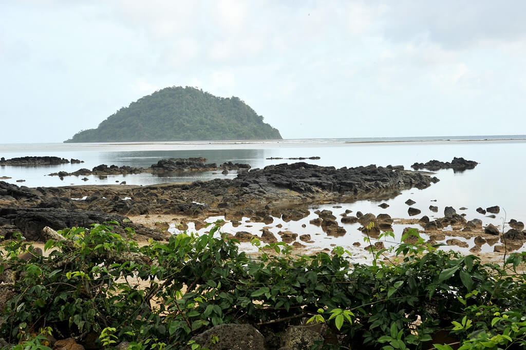 Taveuni : 