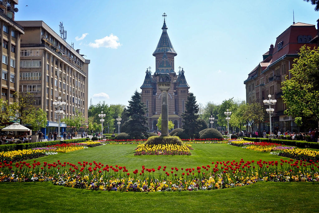 Timișoara :  Timișoara :
