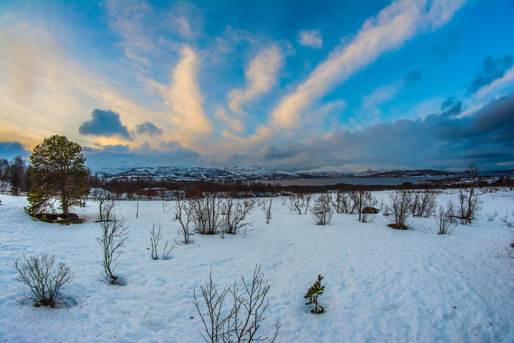 Tromsø :  Tromsø :