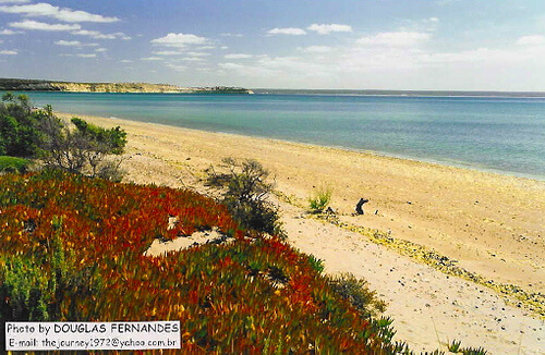 Valdés :  Valdés :